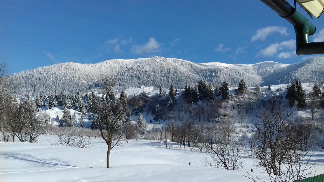 Sadyba U Anastasijky Synevyr Exteriör bild